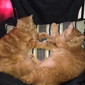 Meet your Posher, Tatyana